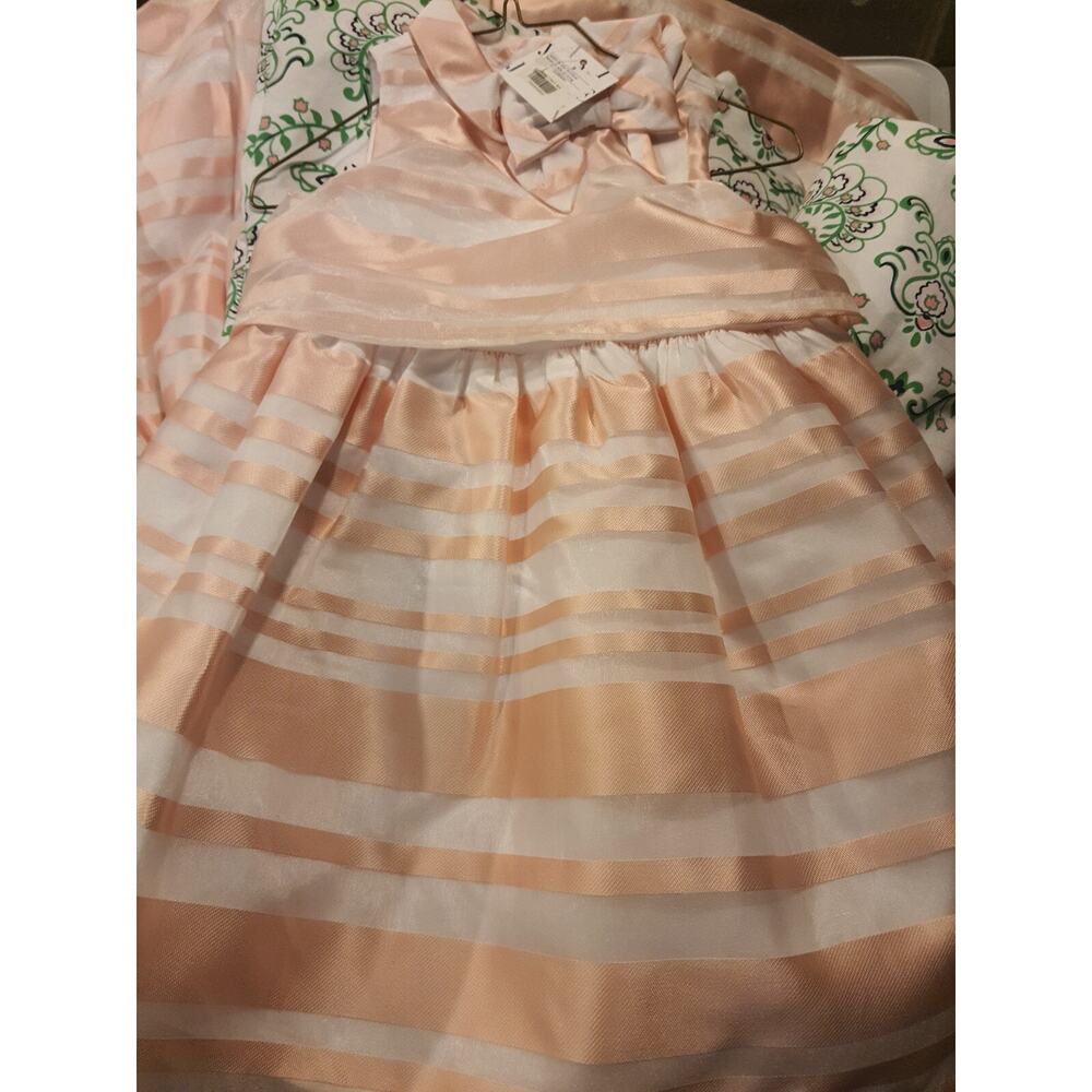 Janie And Jack Garden Brunch Pink White Organza Dress Size 3 birthday NWT